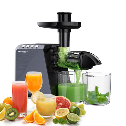 LUFVEBUT 250W Juicer Machine Slow Juice Extractor - B5100, Meteorite Gray